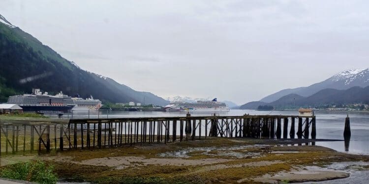 a cruise ship docked in a harbor