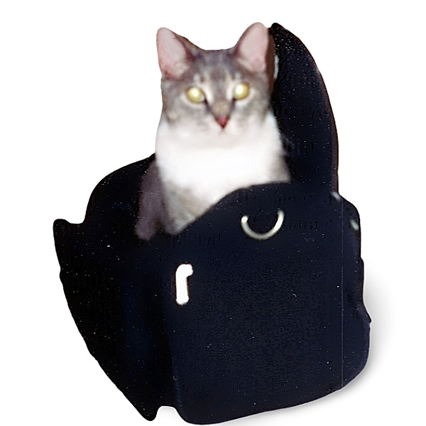 a cat in a black bag
