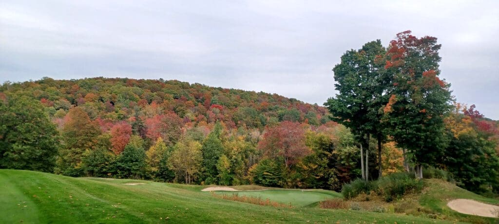 a golf course with trees in the background
