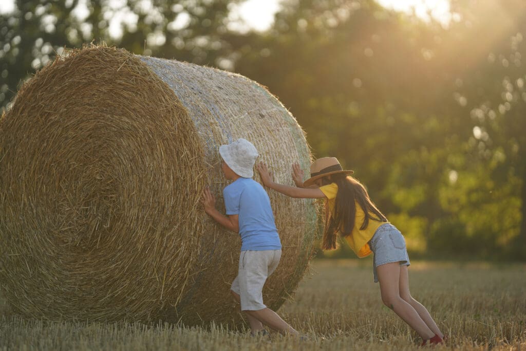Children roll a bundle of hay across a mowed field. A boy and a girl are dressed in the colors of Ukraine and have fun on a summer field after harvest. Children's entertainment.