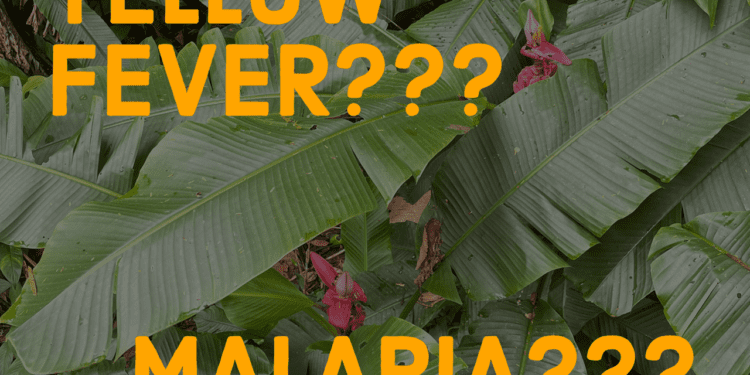 Yellow Fever Malaria