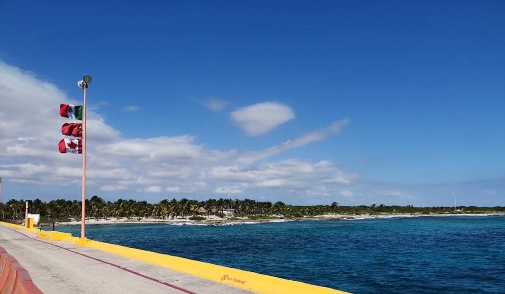 a yellow and white line on a beach