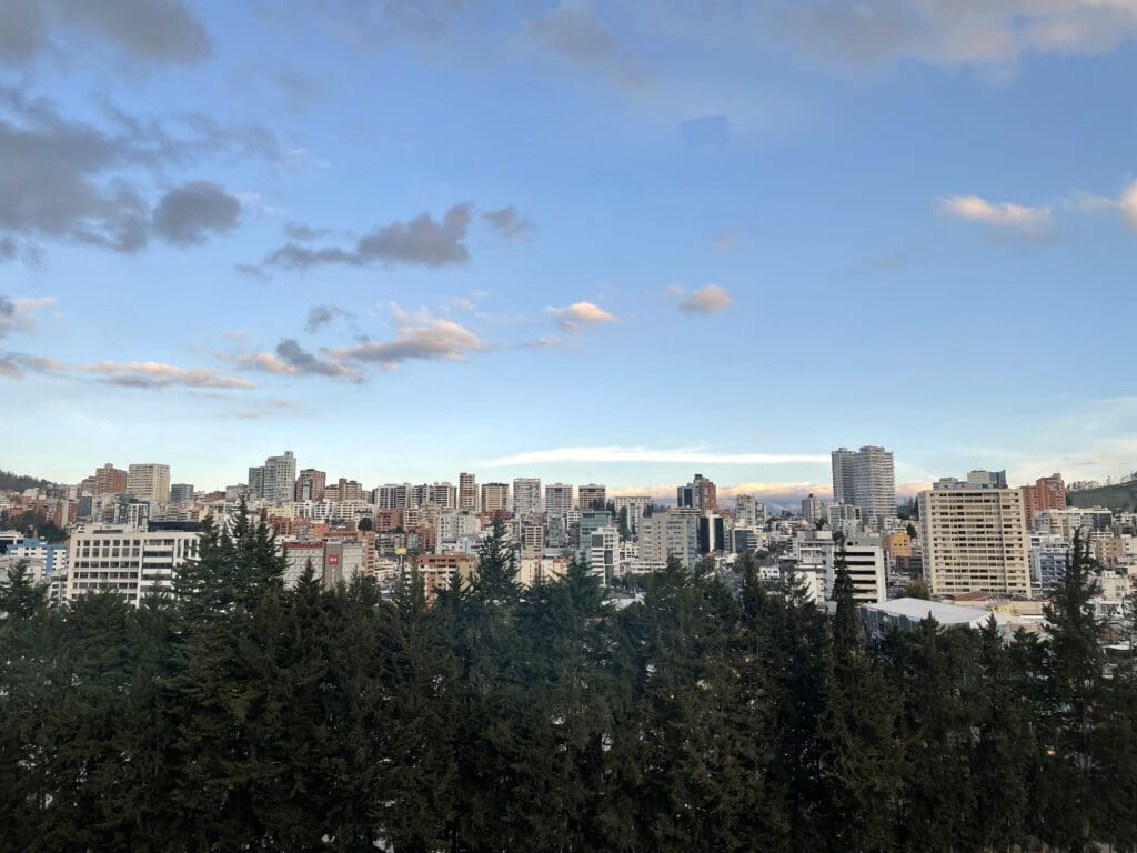 a city with trees and blue sky