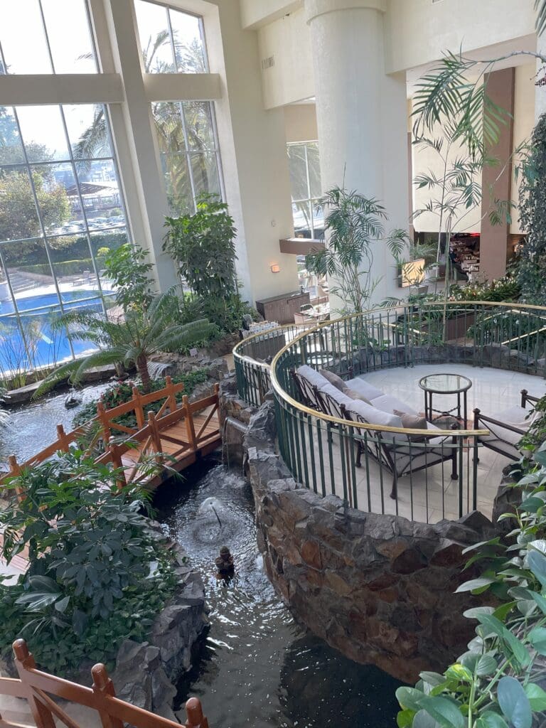 a indoor courtyard with a pool and trees