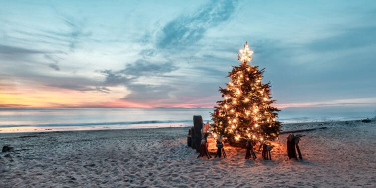 Christmas Tree on the Beach