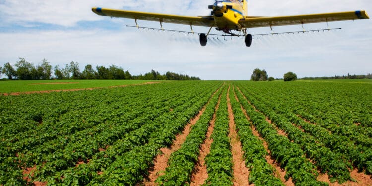 A yellow crop duster spraying a potato field