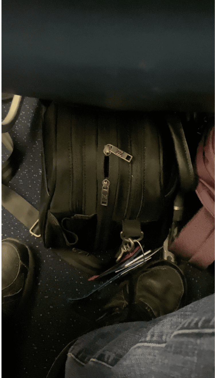 NEW Nomad Lane Bento Bag Review