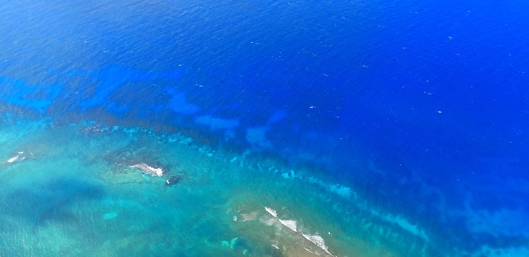 What Has Happened To First Class Etiquette? Is Everyone Karen or Kevin in 2023?