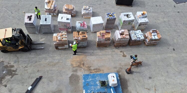 a group of people standing next to a pile of boxes