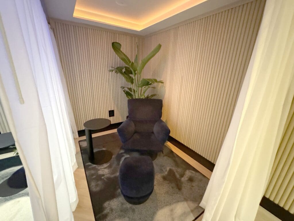 a room with a plant in a pot