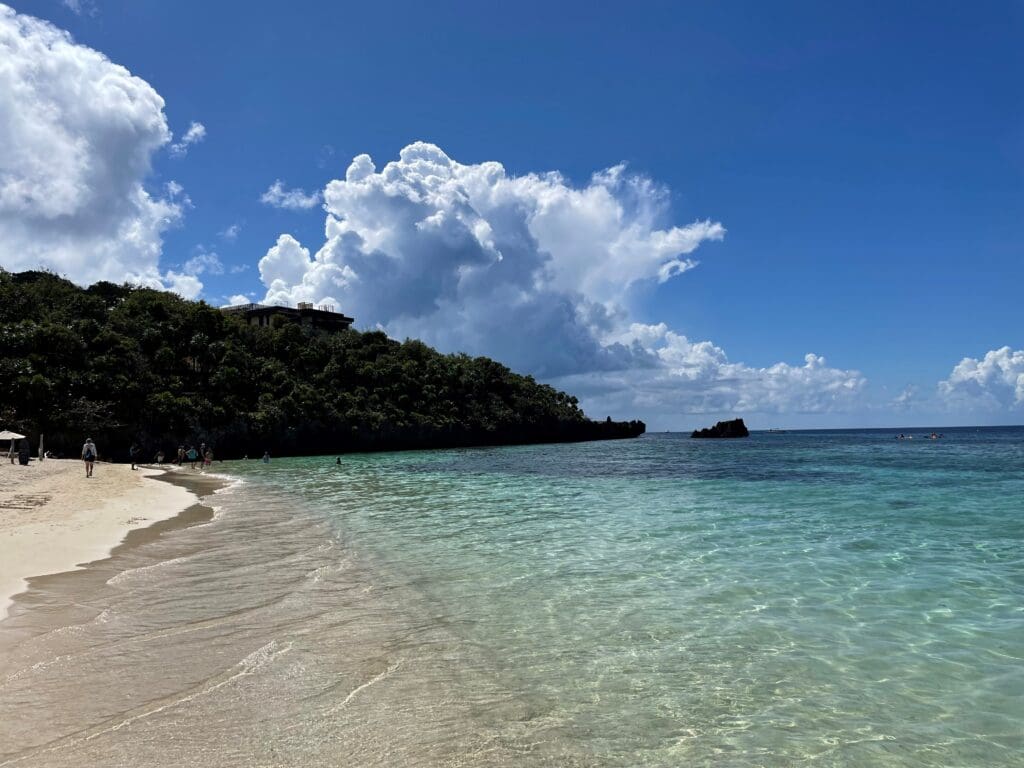 a beach with trees and water