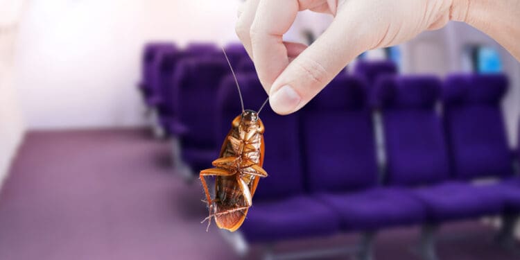 a hand holding a roach