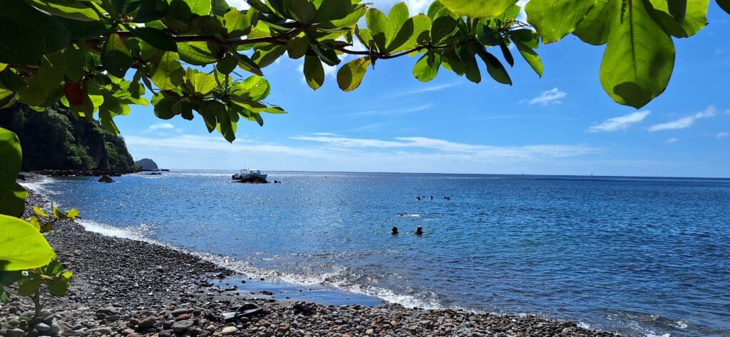 a rocky beach with people swimming in the water