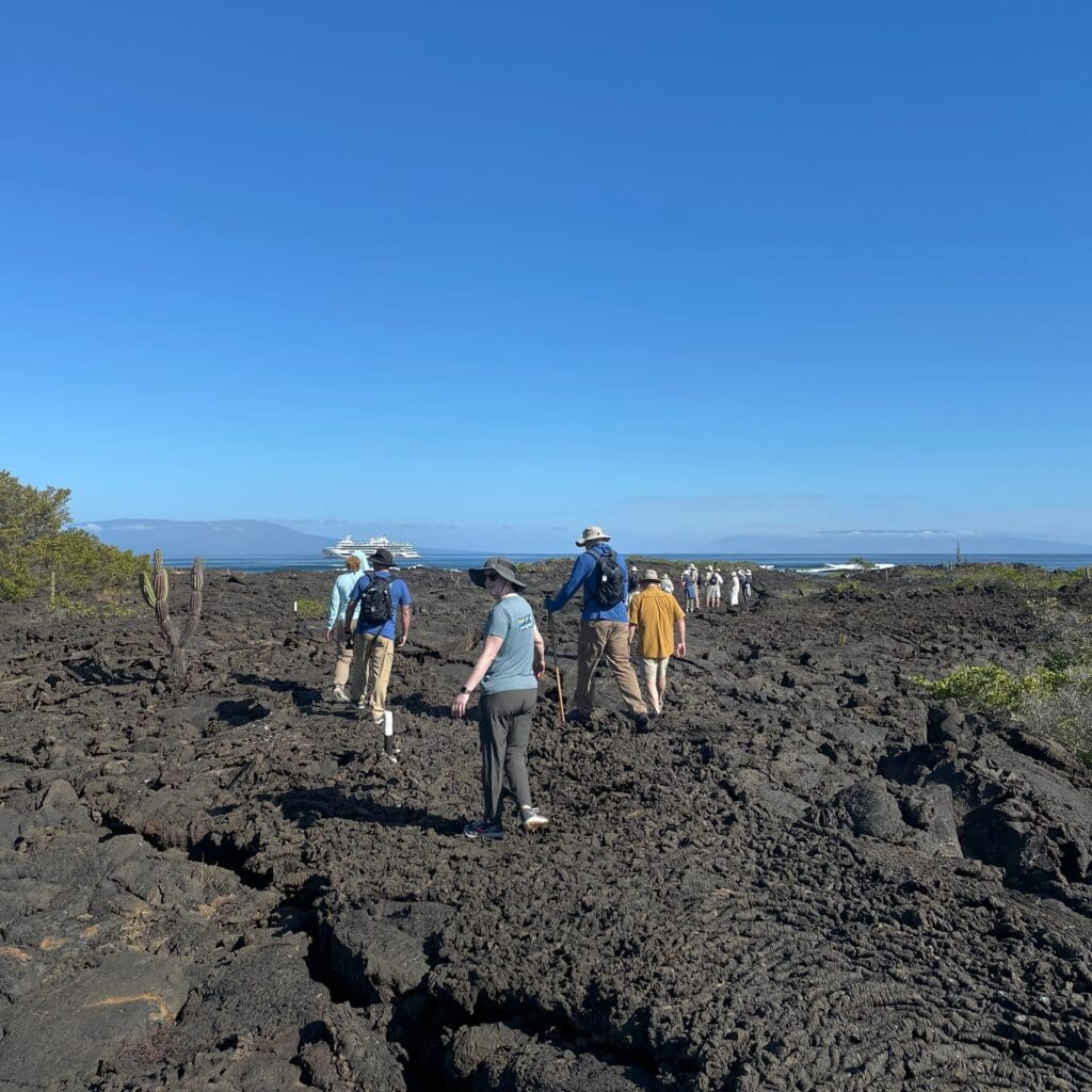 a group of people walking on a rocky area