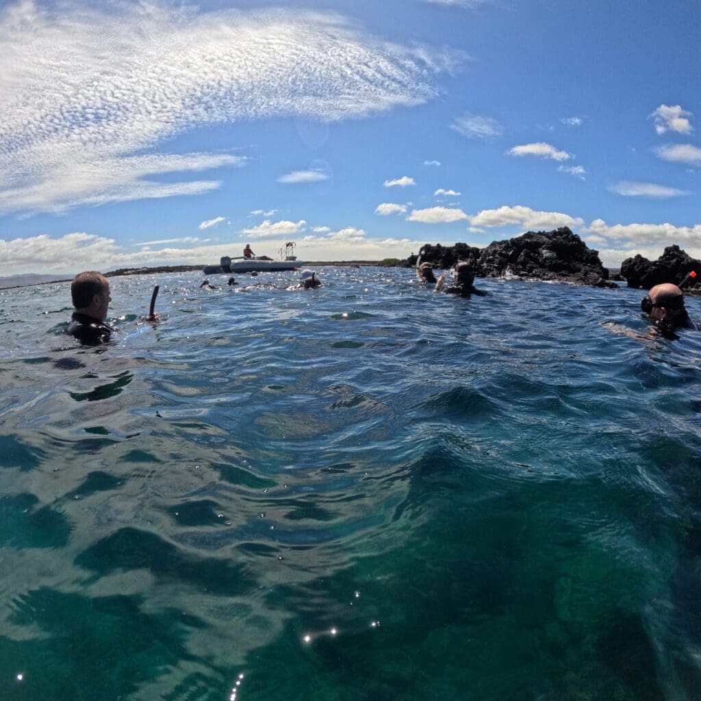 a group of people swimming in the water