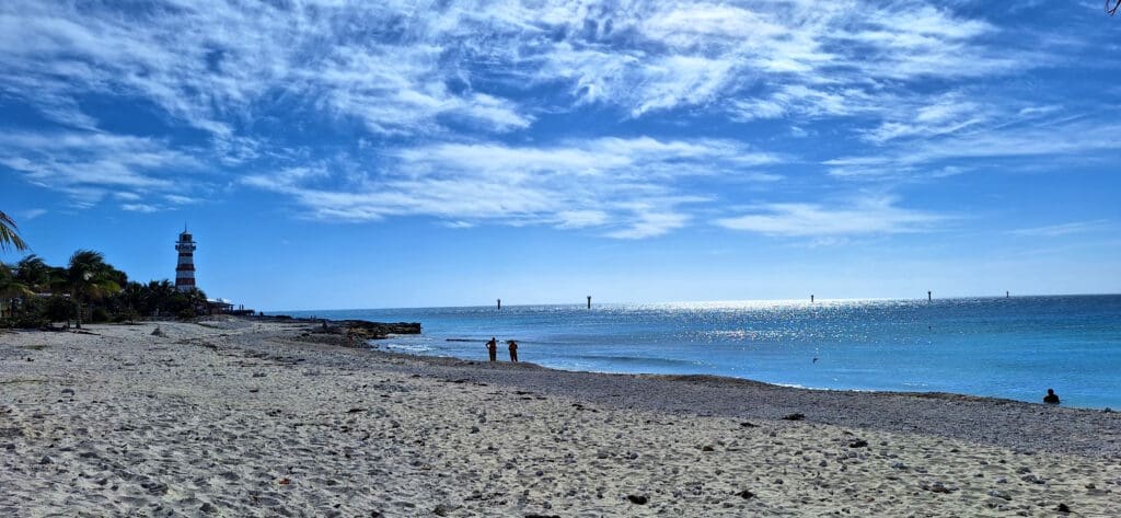 a beach with people on it