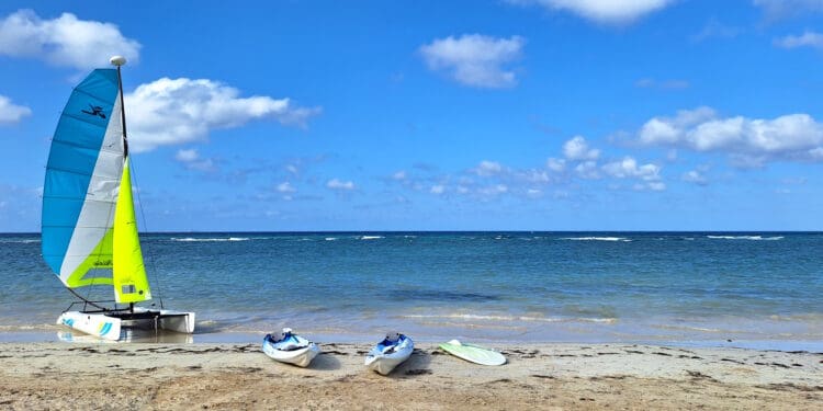 kay kayaks on a beach