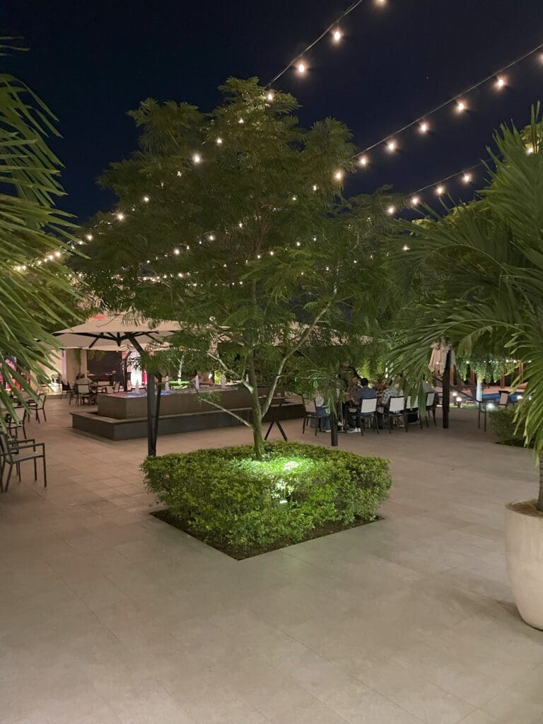 a tree with lights in the middle of a courtyard