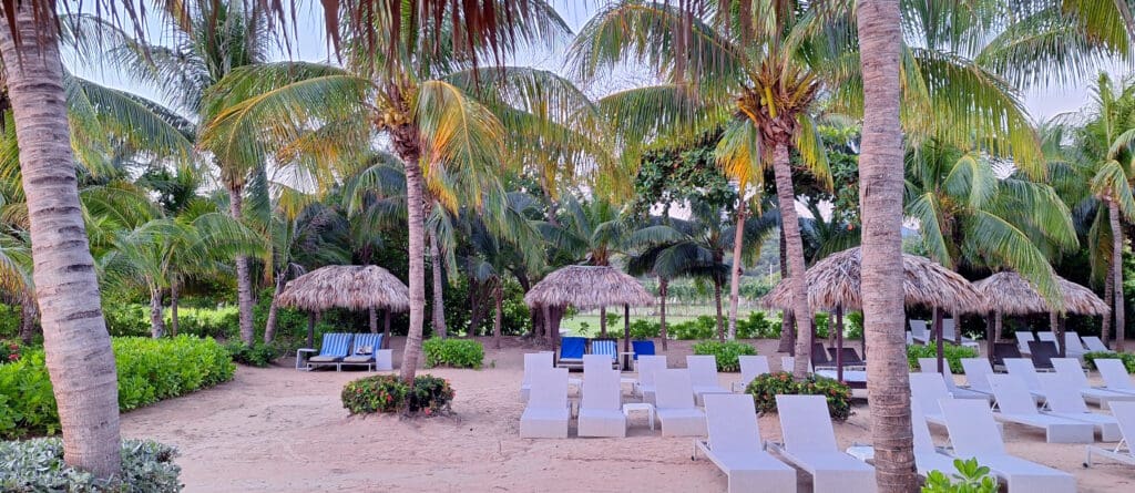 a group of chairs and umbrellas on a beach