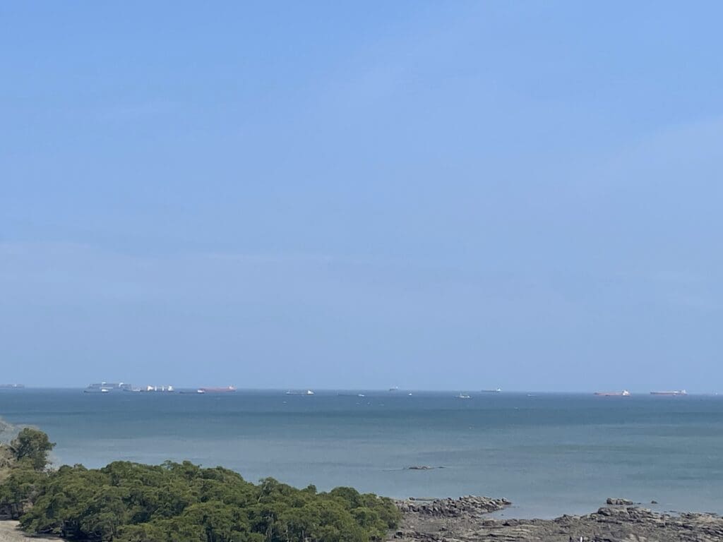 a body of water with trees and buildings in the distance