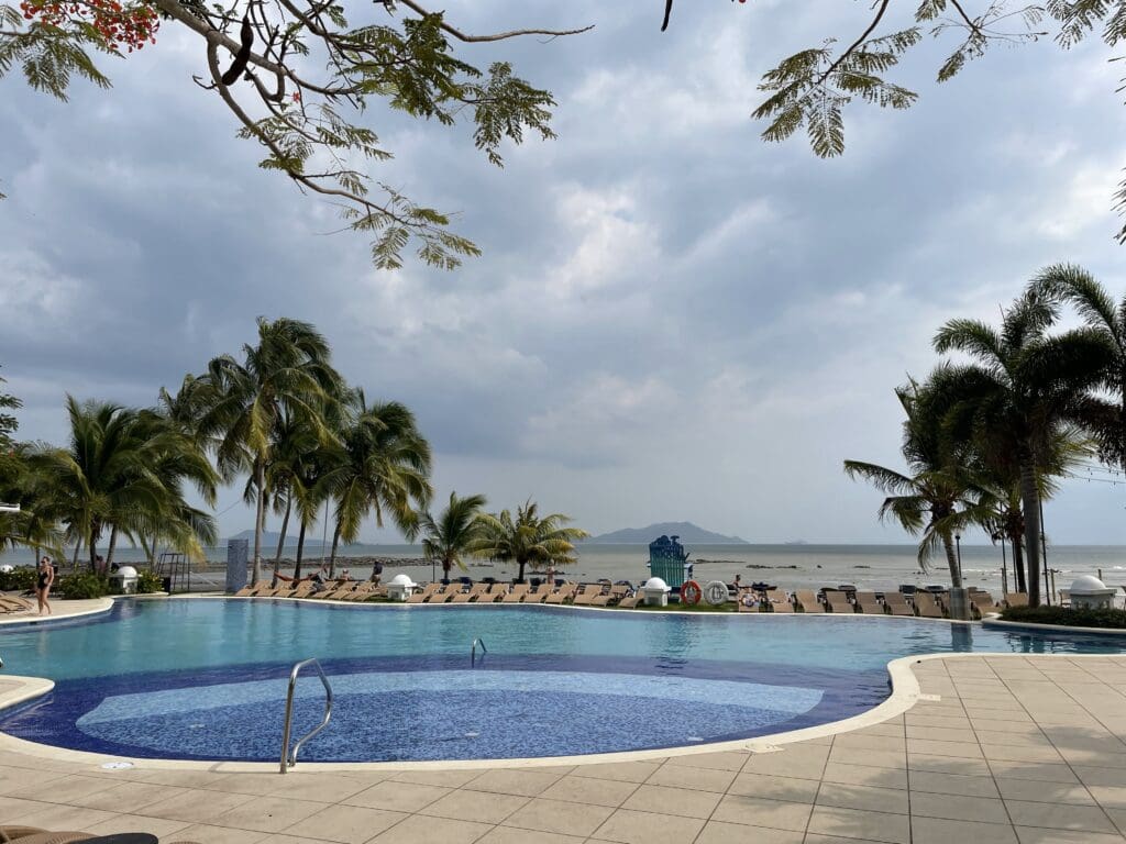 a pool with palm trees and a beach in the background