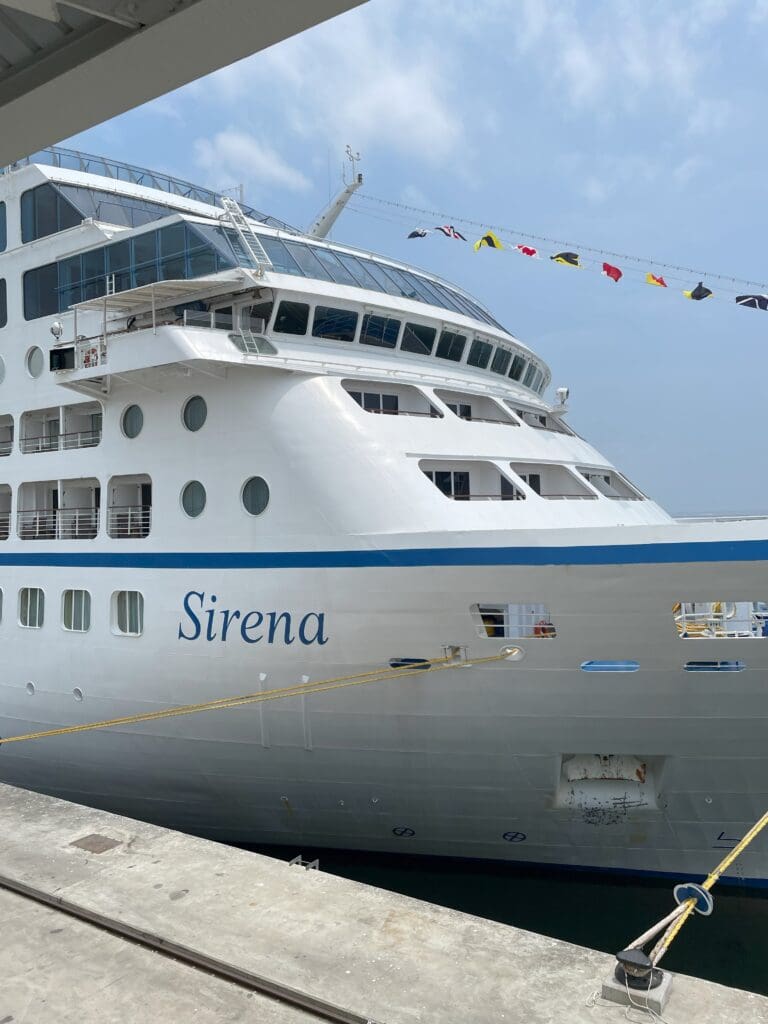 a large white ship docked at a dock