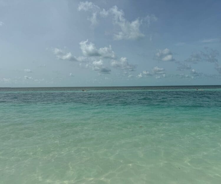 Maybe I Was Wrong About Royal Caribbean Elites No Longer Needing the Drink Package