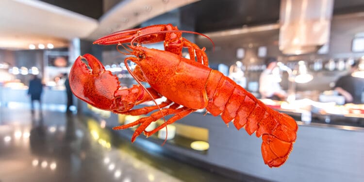 A lobster superimposed over a food buffet.