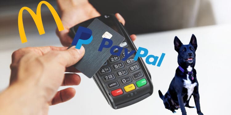 McDonald's, PayPal, veterinarian services, and select charitable donations are the Chase Freedom and Chase Freedom Flex®'s Q4 2024 categories.