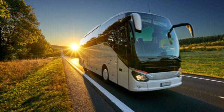 White bus traveling on the asphalt road around line of trees in rural landscape at sunset