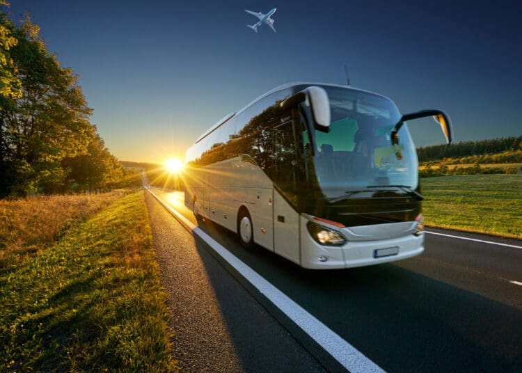 White bus traveling on the asphalt road around line of trees in rural landscape at sunset