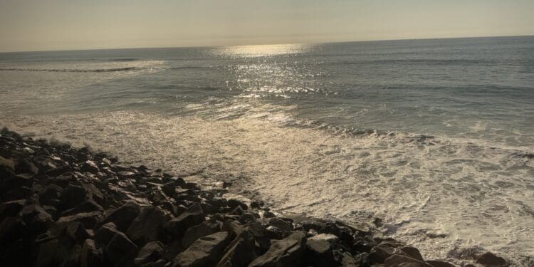 A serene coastal scene with sunlight reflecting off the ocean. Waves gently crash onto a rocky shoreline in the foreground, while the horizon stretches out under a clear sky.