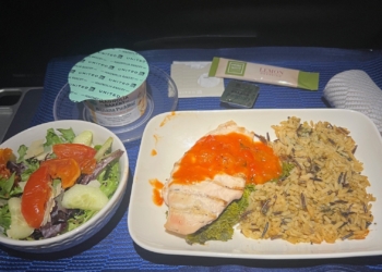 The image shows an airline meal on a tray. The main dish includes grilled chicken with a red sauce, served with wild rice and vegetables. There is a side salad with mixed greens, tomatoes, and cucumbers. A container of banana pudding is also present, along with a packet of lemon dressing, a small container of spread, and a wrapped item, possibly a napkin or utensil. The tray is placed on a blue surface.