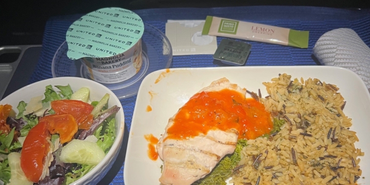 The image shows an airline meal on a tray. The main dish includes grilled chicken with a red sauce, served with wild rice and vegetables. There is a side salad with mixed greens, tomatoes, and cucumbers. A container of banana pudding is also present, along with a packet of lemon dressing, a small container of spread, and a wrapped item, possibly a napkin or utensil. The tray is placed on a blue surface.