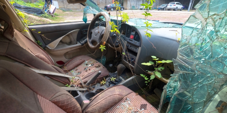 The image shows the interior of an abandoned car with broken windows. The seats and dashboard are covered in dirt and debris, and plants are growing inside, with vines extending across the seats and dashboard. The windshield is shattered, and the car appears to be in a state of disrepair, parked in an outdoor area with other vehicles visible in the background.