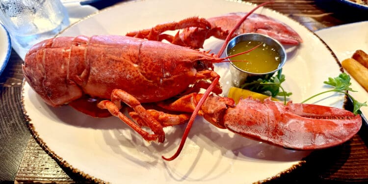 A cooked lobster is served on a white plate with a small metal cup of melted butter and garnished with parsley. The plate is on a wooden table, and there is a glass of water with a lime wedge in the background.