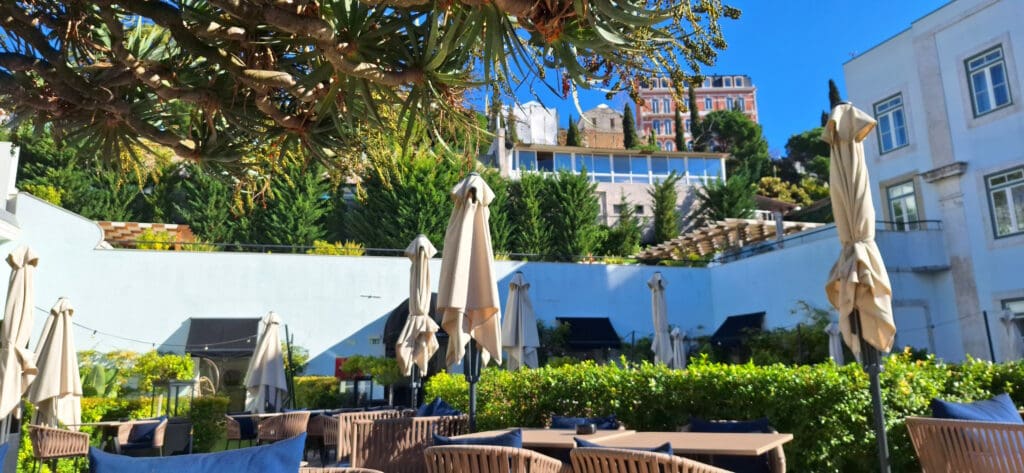 A sunny outdoor patio with tables and chairs, surrounded by lush greenery and tall trees. Closed beige umbrellas are scattered around the seating area. In the background, there are buildings with a mix of modern and traditional architecture. A large tree with thick branches and leaves is visible in the foreground. The sky is clear and blue.