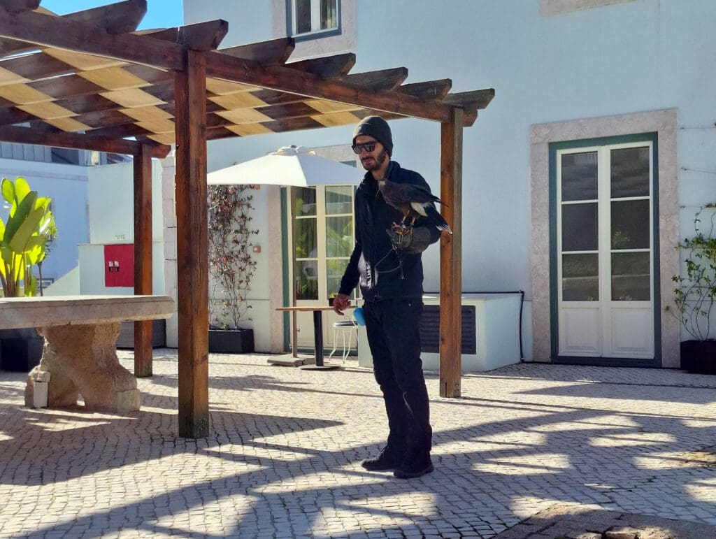 A person wearing dark clothing and a beanie is standing outdoors under a wooden pergola. They are holding a bird of prey, possibly a hawk, on their gloved hand. The background features a white building with large windows, a patio with cobblestone flooring, and some potted plants. There is also a stone table and an umbrella nearby.