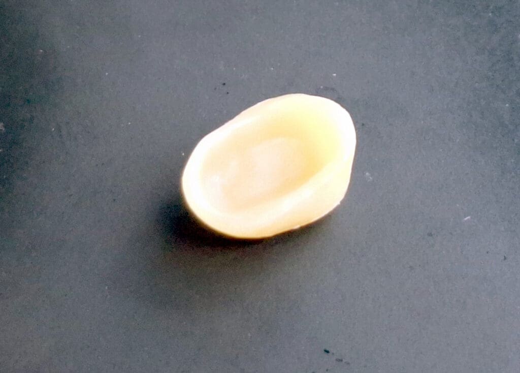 A single, peeled pistachio nut on a dark surface.
