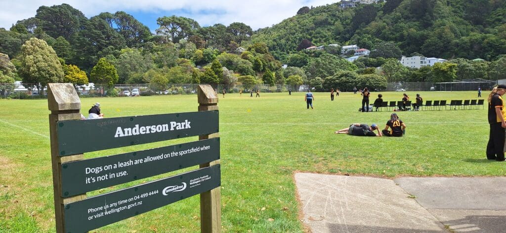 The image shows a grassy sports field at Anderson Park, surrounded by trees and hills. In the foreground, there is a sign that reads "Anderson Park" with information about dogs being allowed on a leash when the field is not in use. In the background, people are playing a sport, possibly cricket, with some players wearing uniforms and others sitting on chairs. A few people are sitting or lying on the grass, enjoying the sunny day.