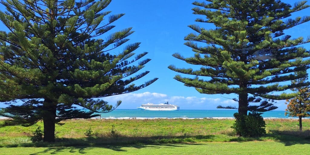 A large cruise ship is sailing on a bright blue ocean under a clear sky. In the foreground, there are two tall pine trees with lush green grass beneath them, framing the view of the ship. The scene is peaceful and sunny, with a few clouds visible in the distance.