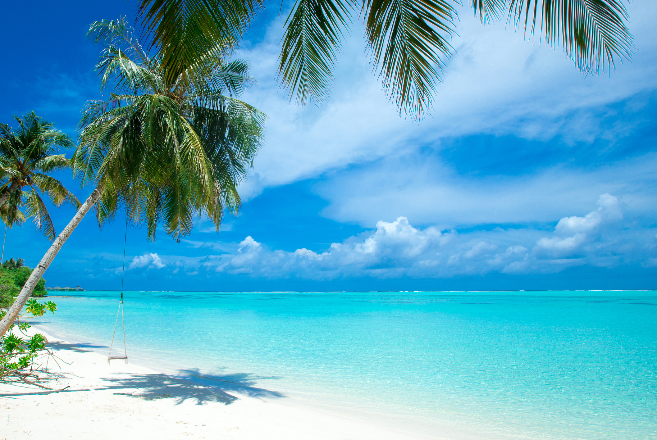 A tropical beach scene with clear turquoise water and a white sandy shore. Palm trees with green fronds hang over the beach, and a swing is suspended from one of the trees. The sky is bright blue with scattered white clouds.