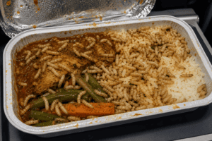Image of maggots infesting airline food