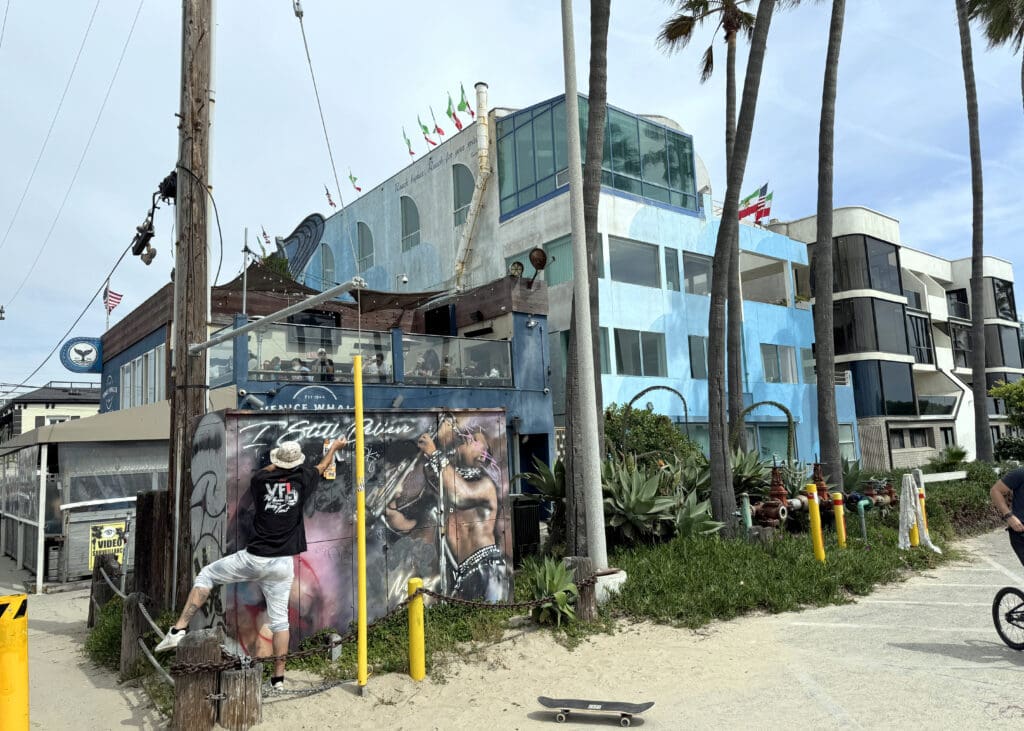 Whaler Beach Bar Venice - a Resy restaurant participant